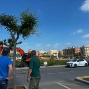 Vila-real inicia la neteja de solars a la ciutat com a mesura front incendis