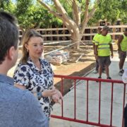 Vila-real inicia la construcció de 50 columbaris