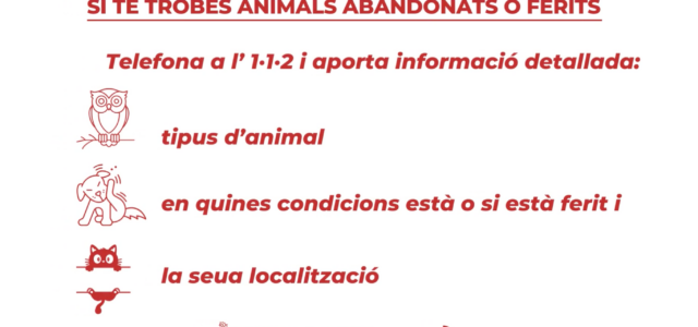 El servei 112CV ensenya com actuar davant animals abandonats o ferits