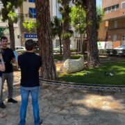 Vila-real estudia solucions per a controlar la superpoblació de coloms en diferents punts de la ciutat