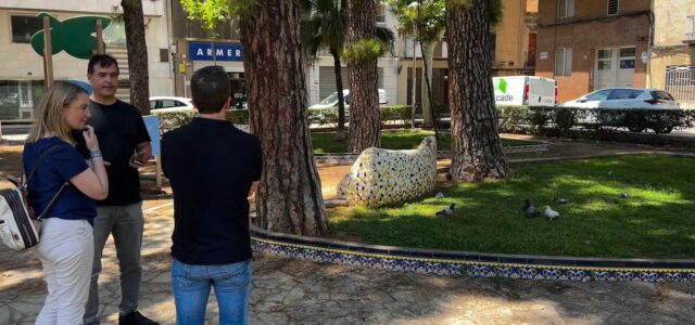 Vila-real estudia solucions per a controlar la superpoblació de coloms en diferents punts de la ciutat
