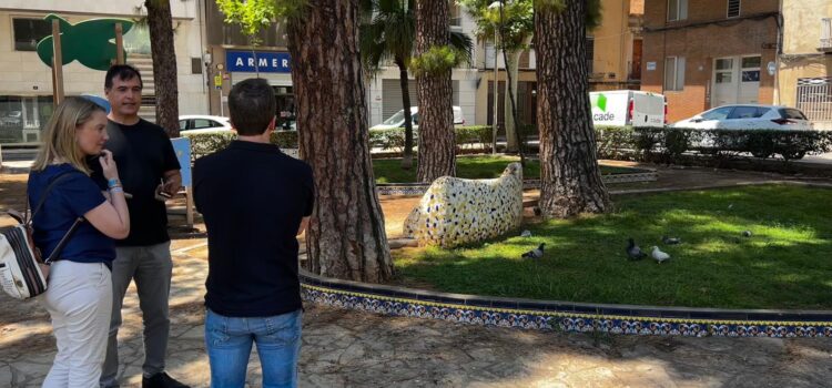 Vila-real estudia solucions per a controlar la superpoblació de coloms en diferents punts de la ciutat
