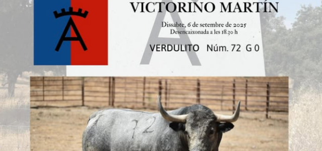 Un bou molt especial per a commemorar 650 anys d’història taurina