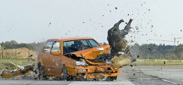 Com actuar davant un accident amb animals a la carretera per a evitar conseqüències greus