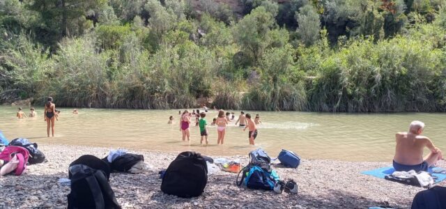 Prop de 200 xiquets i xiquetes descobreixen el valor ambiental del riu Millars amb el programa d’Escoles d’Estiu del Consorci