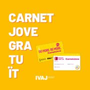 La Targeta Jove de l’IVAJ ja es pot sol·licitar en línia de manera gratuïta