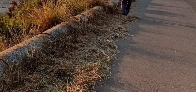 Vila-real reforça la prevenció d’incendis amb neteja de camins i avisos a propietaris