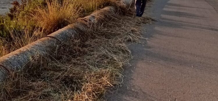 Vila-real reforça la prevenció d’incendis amb neteja de camins i avisos a propietaris