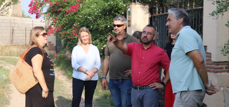 Vila-real estudia accions i zones per a atallar la superpoblació de senglars pel terme