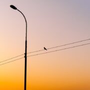 Vila-real renova l’enllumenat dels polígons amb una inversió de quasi dos milions d’euros