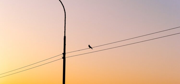 Vila-real renova l’enllumenat dels polígons amb una inversió de quasi dos milions d’euros