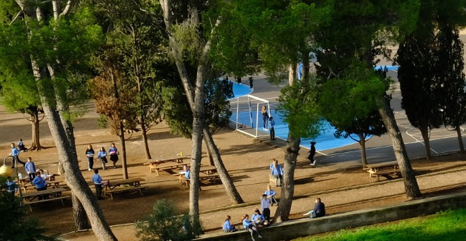 L’alumnat del Centre Fundació Flors lidera una fira benèfica amb finalitats solidàries