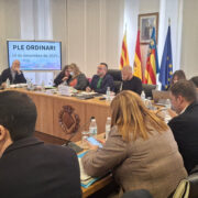 El Ple de Vila-real aprova per unanimitat les Medalles de la Ciutat a persones i entitats destacades