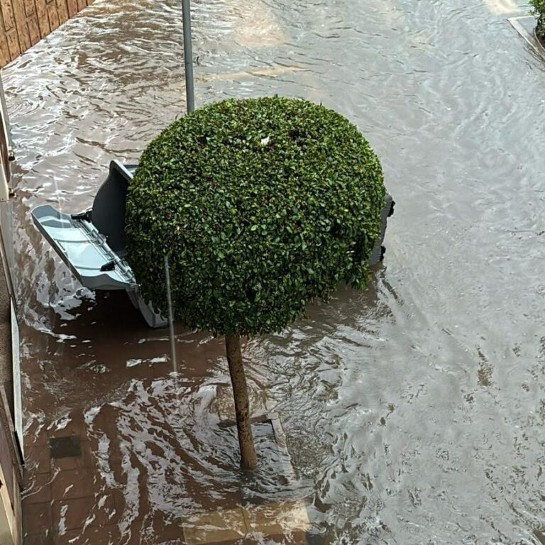 El PP denuncia la falta de manteniment que agreuja els problemes per les pluges