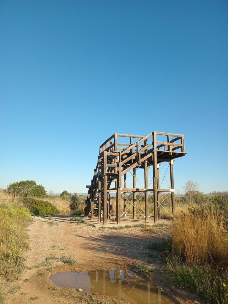 El Consorci Riu Millars adjudica la reparació de la torre mirador de les llacunes per 8.591 euros