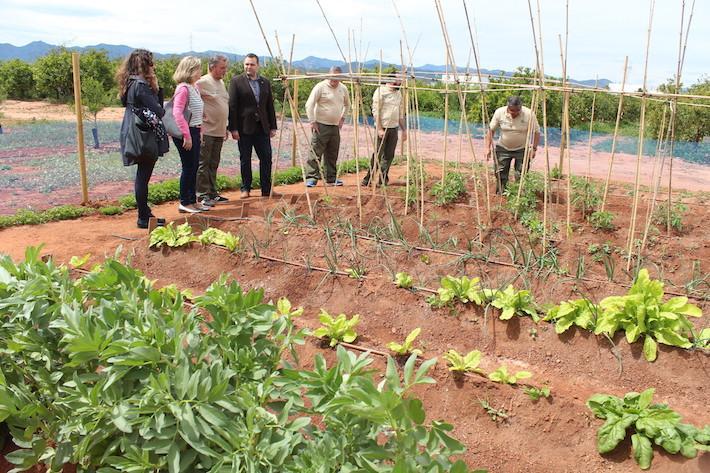 L'alumnat del taller d’Ocupació d’atenció sociosanitària i agricultura inicia les pràctiques