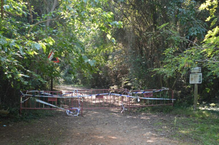 Tanquen la ruta botànica del Millars pel temporal de vent