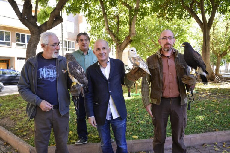 Àguiles i mussols com a solució per a disipar els estornells de la Plaça de l'Alguer