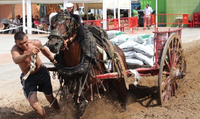 Coneix tot el que no et pots perdre aquest cap de setmana