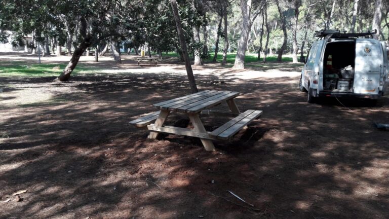 Davant el bon temps i front a la Covid, més taules per a gaudir d’un pícnic al Pinar del Termet