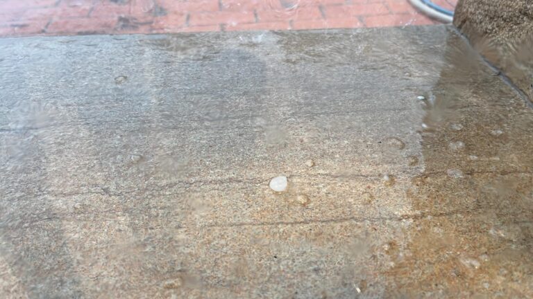 La partida de Les Solaes de Vila-real comptabilitza 183 litres per metre cuadrat