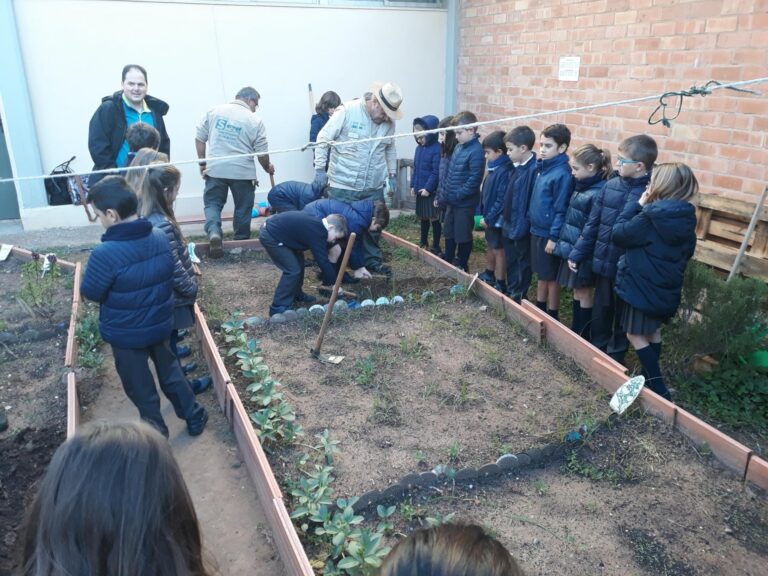 Prop de 300 xiquets d’una desena de col·legis aprenen el necessari per a tenir el seu propi hort escolar