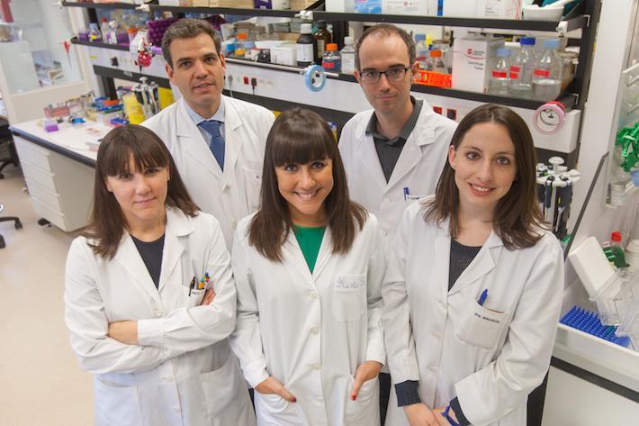 Un despatx d'advocats de Vila-real financia un grup de la Universitat de Navarra que investiga el càncer de pulmó