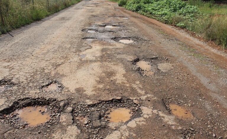 El PP demanda mesures en l’àmbit local que ajuden als agricultors en el seu treball
