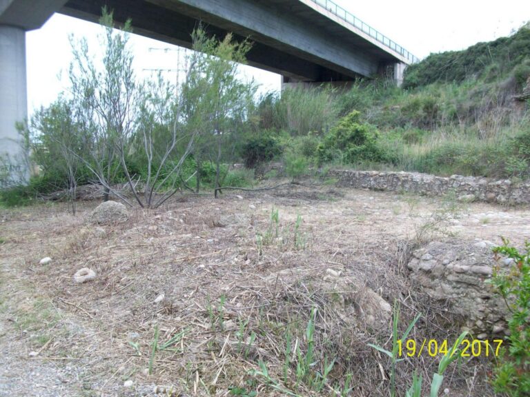 El Consorci del Millars inicia la neteja de l'antic assut dels Corrents del segle XVII