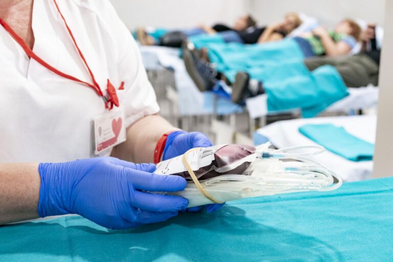 Els groguets donen sang a La Ceràmica