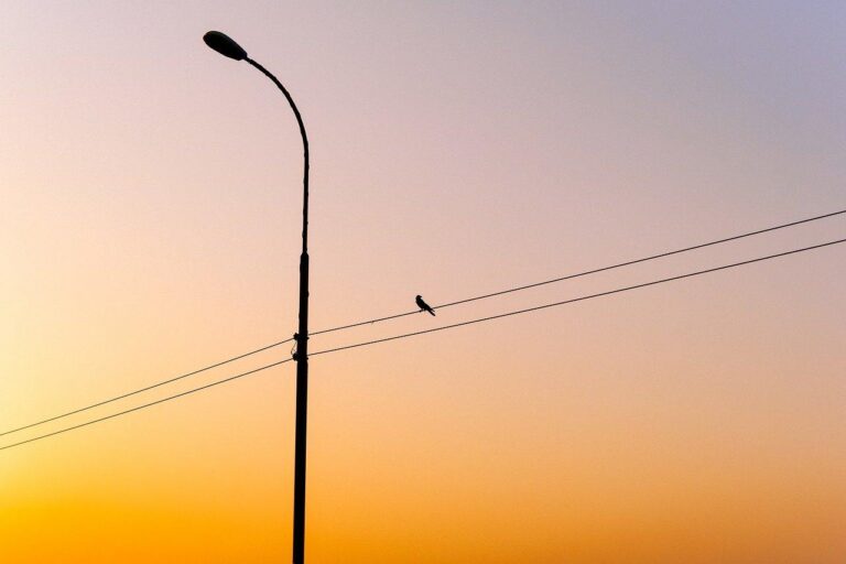 Vila-real renova l’enllumenat dels polígons amb una inversió de quasi dos milions d’euros