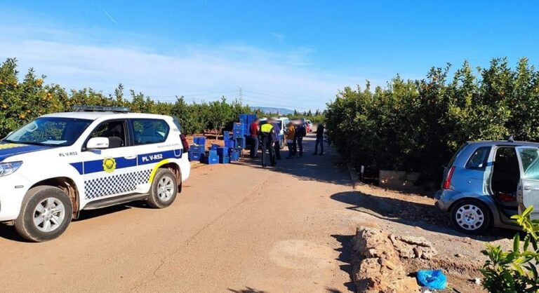 La Policia Local de Vila-real realitza controls en els camps