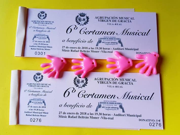 El VI Certamen de bandes Memorial Iván Melchor Algarra recapta fons per a ‘Pintando el camino de rosa’ 