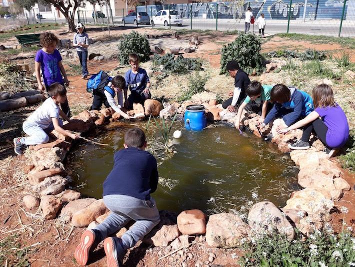 Una campanya dóna a conèixer entre l'alumnat dels col·legis  l’hort sostenible de la iniciativa 'Naturalment' 
