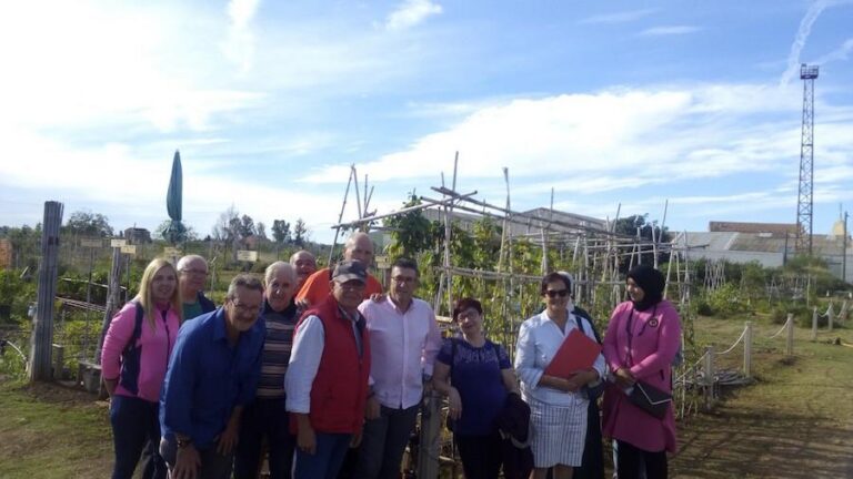 Una vintena de parcel·les dels horts urbans són adjudicades per a fomentar la pràctica de l’agricultura ecològica