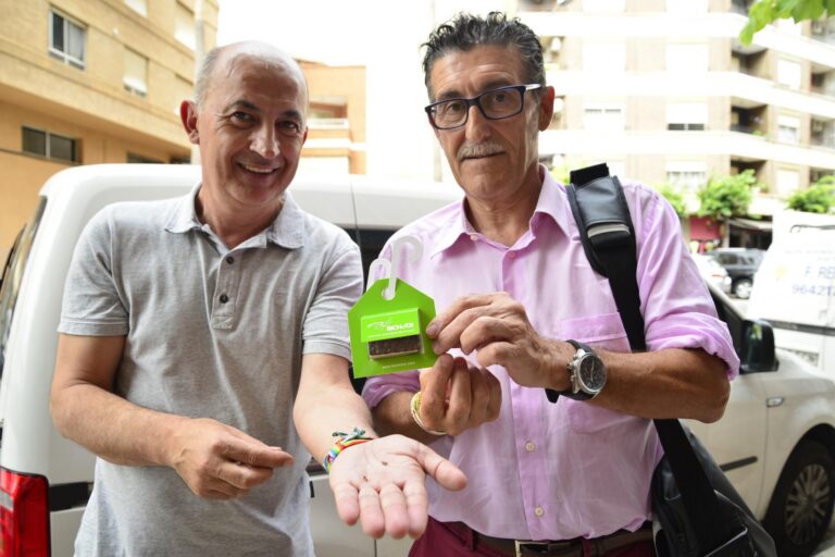 Vila-real combatrà les plagues d’insectes amb 300 arbres de la ciutat a través d’un Pla Biològic anti-incecticida