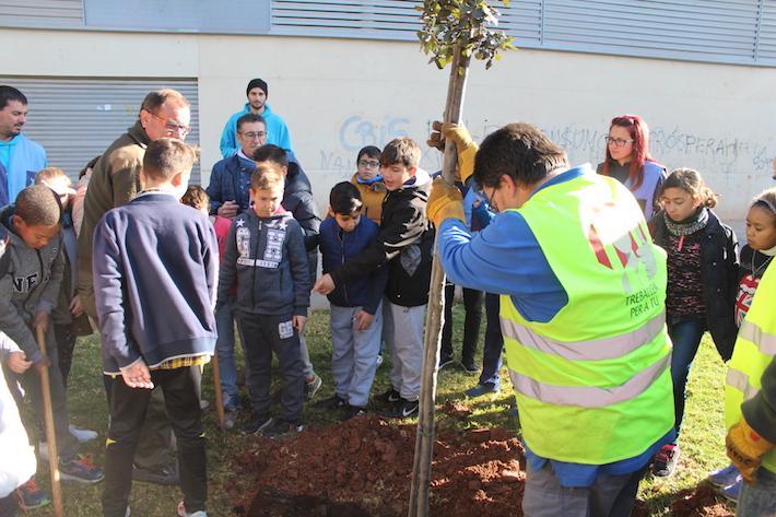 L’alumnat del col·legi Carles Sarthou planta arbres al jardí de la Panderola