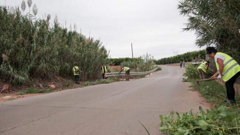 SPV neteja i condiciona les cunetes, barrancs, camins rurals i solars municipals del terme