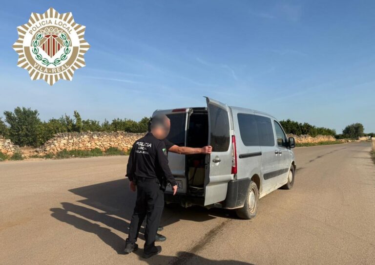 S’intensifiquen els controls per garantir la procedència lícita de les taronges