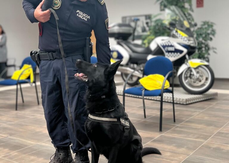 Vila-real reforça la seguretat i l’atenció davant emergències durant les festes de Sant Pasqual