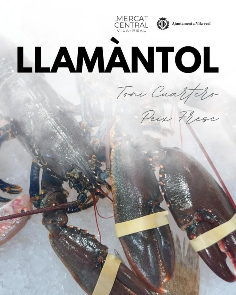 El mercat ofereix el llamàntol més fresc i saborós