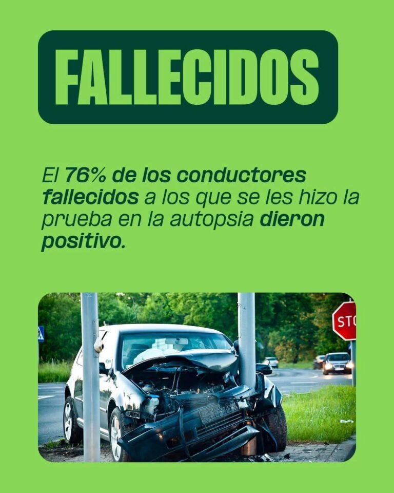 La Policia Local alerta dels perills de l’alcohol i les drogues al volant