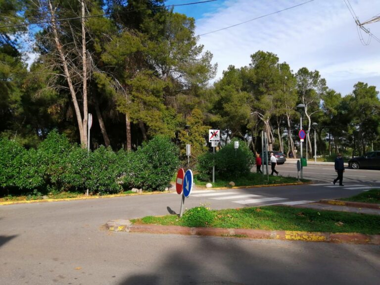 Cs exigeix més manteniment del Termet per a millorar la seguretat i donar més visibilitat