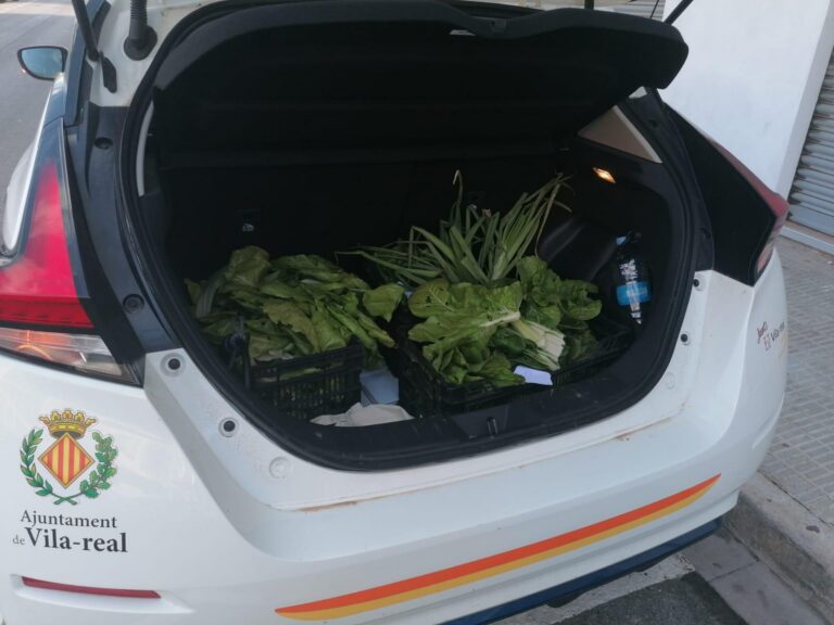 Agricultura i Pankara mantenen els horts urbans i reparteixen l'hortalissa