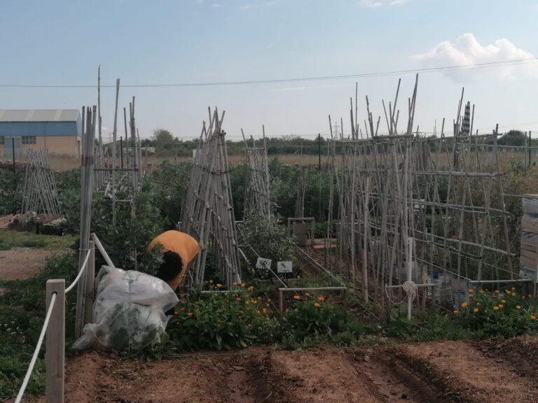 Alarmes al món rural de Vila-real per construccions il·legals en finques agrícoles