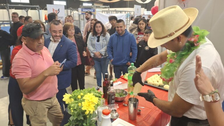 ACPERVIL debuta a Vila-real amb una jornada de cultura i convivència