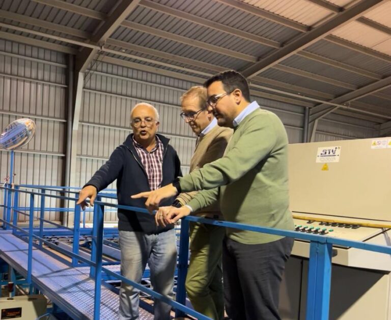 Casabó posa en valor les taronges locals en la celebració de la Nit de Cap d’Any