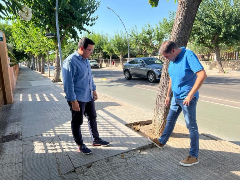 El PP de Vila-real proposa una millora integral de voreres del Camí Ermita 