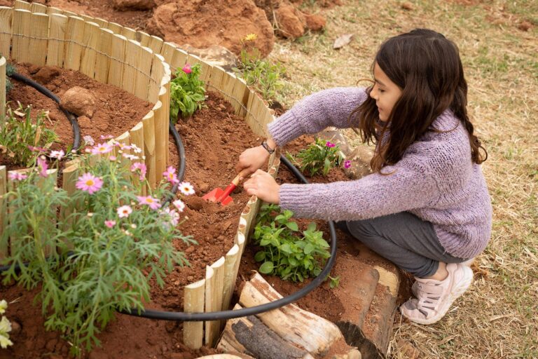 'Aula Viva Naturalment' arriba a Vila-real del 25 d'abril fins al 21 de juny