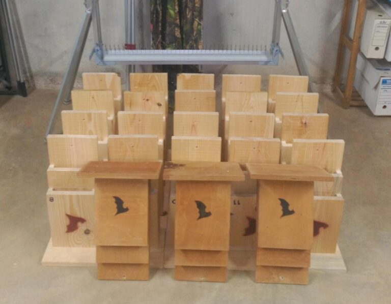 Les VII Jornades de la Desembocadura el Millars ensenyaran a construir refugis per a rates penades